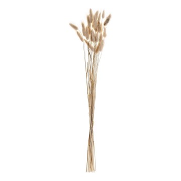 Eglo - Getrocknete Blume 60 cm beige