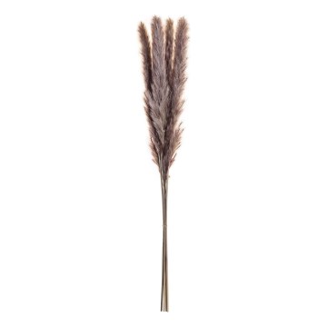 Eglo - Getrocknete Blume 60 cm violett