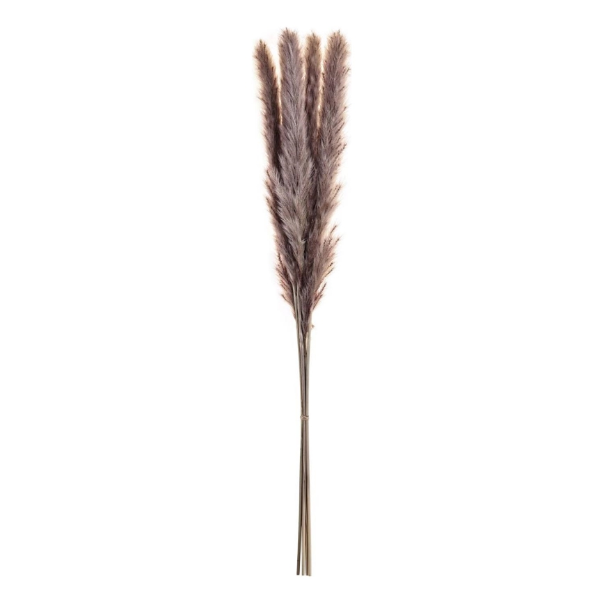 Eglo - Getrocknete Blume 60 cm violett