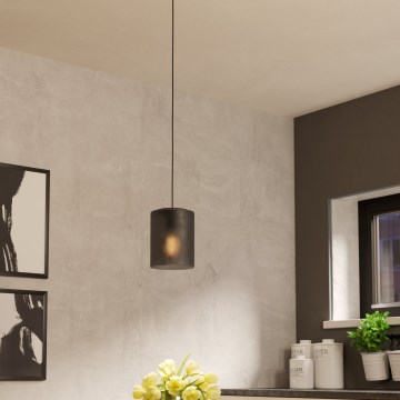 Eglo - Hängeleuchte 1xE27/40W/230V grau