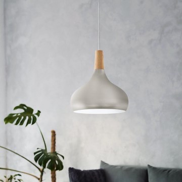 Eglo - Hängeleuchte 1xE27/60W/230V Ø 28 cm silber