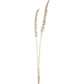 Eglo - Kunstblume 71,5 cm golden