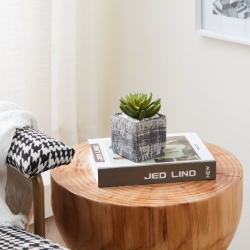 Eglo - Künstliche Pflanze im Blumentopf 12x7,5 cm Sukkulent