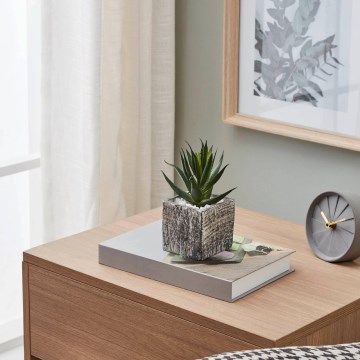 Eglo - Künstliche Pflanze im Blumentopf 13x9,5 cm Sukkulent