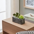 Eglo - Künstliche Pflanze im Blumentopf 14,5x17,8 cm Sukkulent