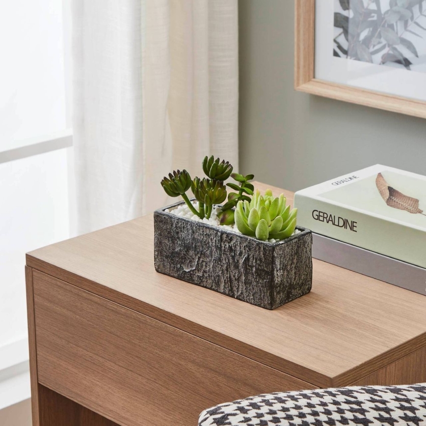 Eglo - Künstliche Pflanze im Blumentopf 14,5x17,8 cm Sukkulent