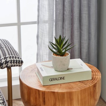 Eglo - Künstliche Pflanze im Blumentopf 15,5x10 cm Sukkulent