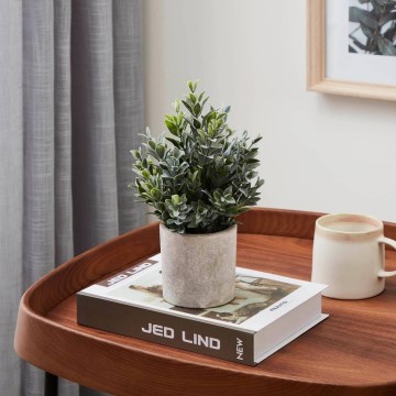 Eglo - Künstliche Pflanze im Blumentopf 22x16 cm