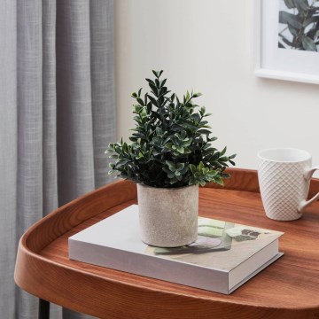 Eglo - Künstliche Pflanze im Blumentopf 23x18 cm