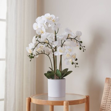 Eglo - Künstliche Pflanze in Blumentopf 65x50 cm Orchidee