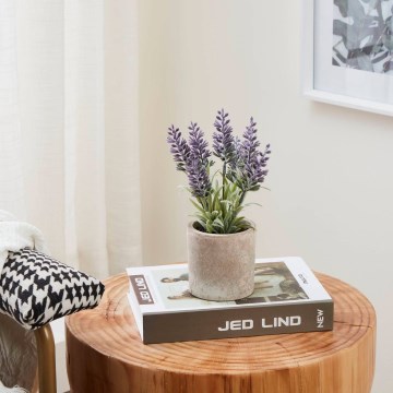 Eglo - Kunstpflanze im Blumentopf 22x8 cm Lavendel
