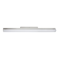 Eglo - LED Badezimmerleuchte 1xLED/24W/230V IP44