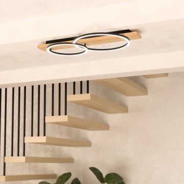 Eglo - LED-Deckenleuchte 2xLED/12W/230V 3000K beige/schwarz