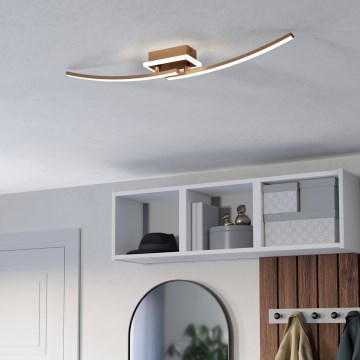 Eglo - LED-Deckenleuchte LED/12W/230V 4000K kupfern