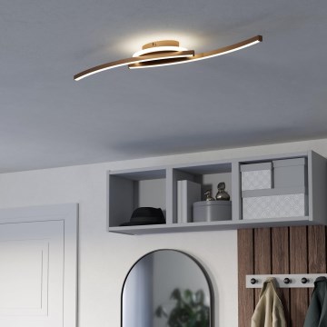 Eglo - LED-Deckenleuchte LED/12W/230V 4000K kupfern