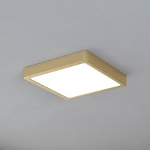 Eglo - LED-Deckenleuchte LED/17W/230V