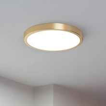 Eglo - LED-Deckenleuchte LED/20,5W/230V d 28,5 cm