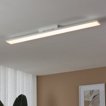 Eglo - LED-Deckenleuchte LED/21W/230V 3000K 118,7 cm