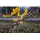 Eglo- LED Outdoor Weihnachtskette 700xLED/1 Funktion 19m IP44 warmweiß