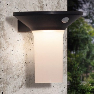 Eglo - LED Solar-Außenleuchte mit Sensor 6xLED/0,03W/3,7V IP44