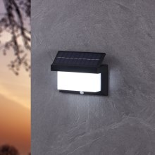 Eglo - LED-Solarwandleuchte mit Sensor LED/3,84W/3,7V IP44