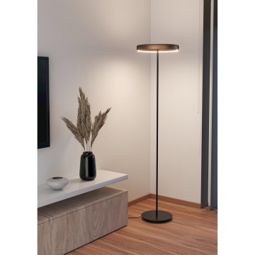 Eglo Stars of Light - Dimmbare LED-Stehlampe mit Bewegungsmelder 2xLED/19W/230V 2200-6500K braun