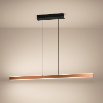 Eglo Stars of Light - LED-dimmbare Hängeleuchte an Seil LED/30W/230V 2200-6500K goldfarben + Fernbedienung