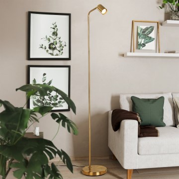 Eglo - Stehleuchte 1xGU10/5W/230V goldfarben