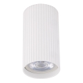 Einbaustrahler TUNE S 1xGU10/10W/230V 10 cm weiß