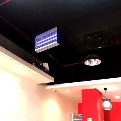 Elektronische Insektenfalle 2x10W/230V 80 m²