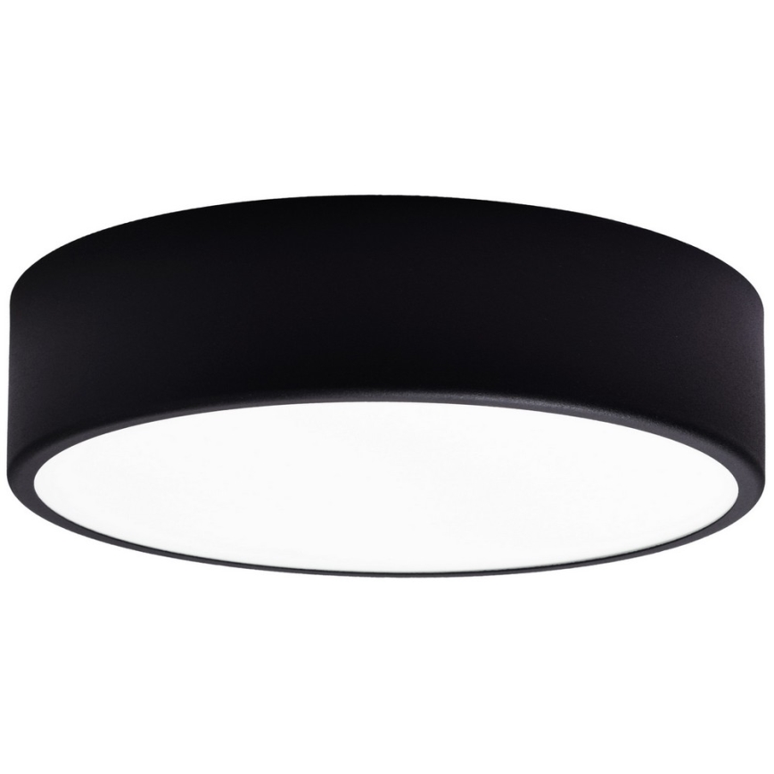 Ersatzglas für Deckenleuchte CLEO 30 cm Glas