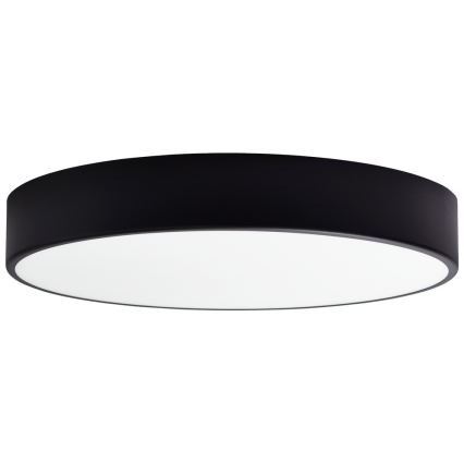 Ersatzglas für Deckenleuchte CLEO 50 cm Glas