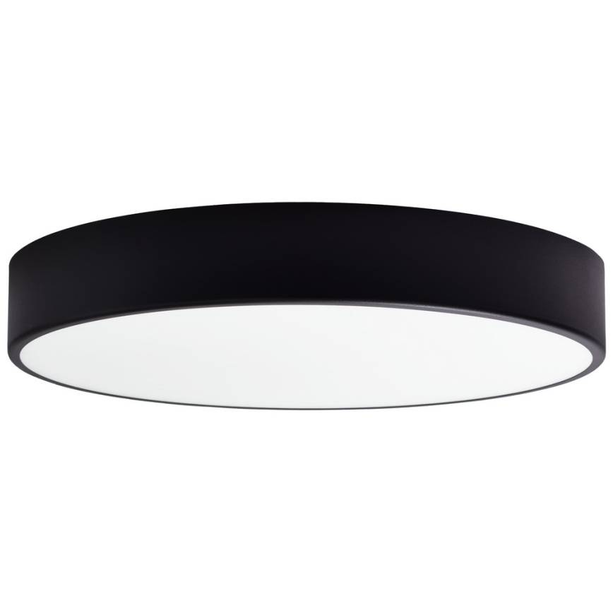 Ersatzglas für Deckenleuchte CLEO 50 cm Glas