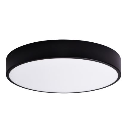 Ersatzglas CLEO 60 cm Glas