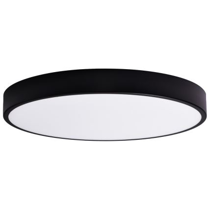 Ersatzglas CLEO 80 cm Glas