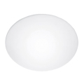 Ersatzglas für die Deckenleuchte Steinel 738013 E27