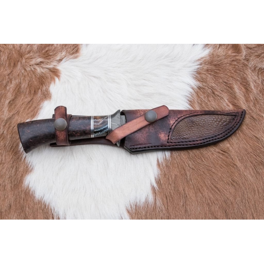 Exklusives Damastmesser 14,6 cm Birke/Mammutzahn
