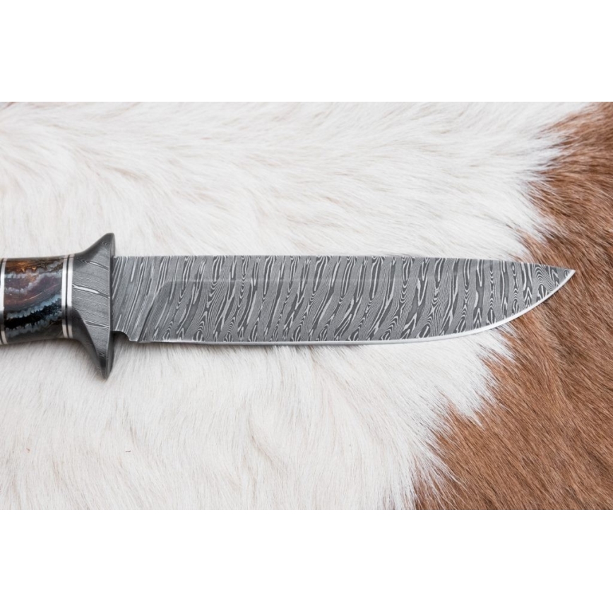 Exklusives Damastmesser 14,6 cm Birke/Mammutzahn