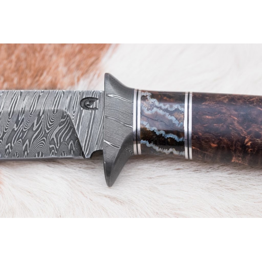 Exklusives Damastmesser 14,6 cm Birke/Mammutzahn