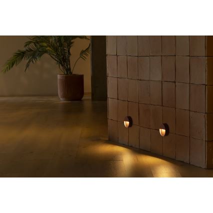 FARO 71962 - LED-Treppenleuchte DUNE LED/3W/230V 2200/2700/3200/4000K IP65 braun rund