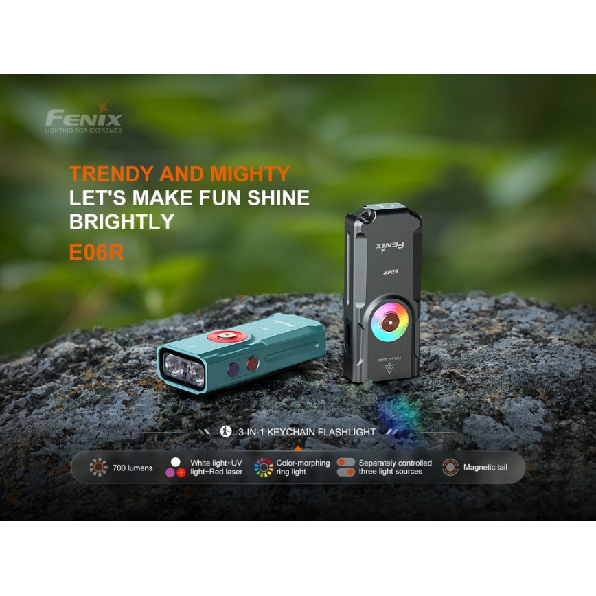 Fenix E06RGRY - Dimmbare, aufladbare LED-Taschenlampe UV LED/USB IP66 700 glänzend 60 h grau