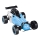 Ferngesteuerter Buggy Formula blau/schwarz