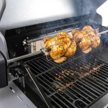 Fieldmann - Grillspieß mit Motor 230 V, Edelstahl