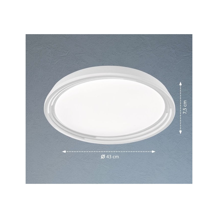 Fischer & Honsel 20807 - LED Dimmbare Deckenleuchte DUA LED/22W/230V