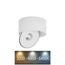 Flexibler LED-Strahler LED/20W/230V 3000/4000/6400K CRI 90 weiß