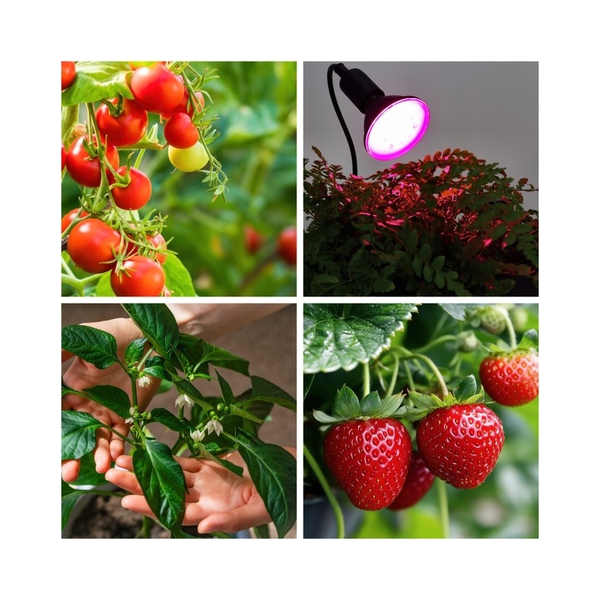 Flexibler Tischlampen-Clip zur Pflanzenzucht PLANTY 1xE27/30W/230V schwarz