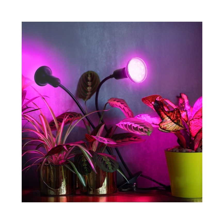 Flexibler Tischlampen-Klemmleuchte für Pflanzenzucht PLANTY 2xE27/30W/230V schwarz