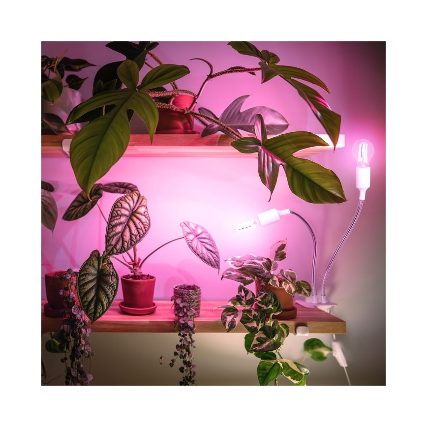 Flexibler Tischlampen-Klemmleuchte für Pflanzenzucht PLANTY 2xE27/30W/230V Weiß