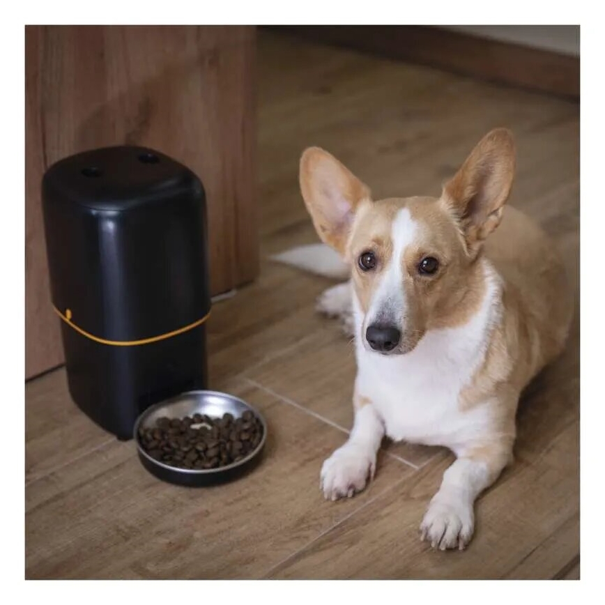 Futterautomat 4 l/5V/3xD schwarz Wi-Fi