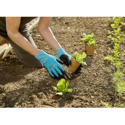 Gardena – Arbeitshandschuhe blau/schwarz